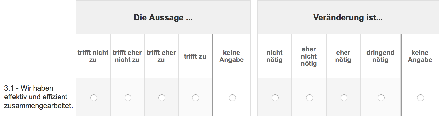 Screenshot Antwortskala Matrixfragen