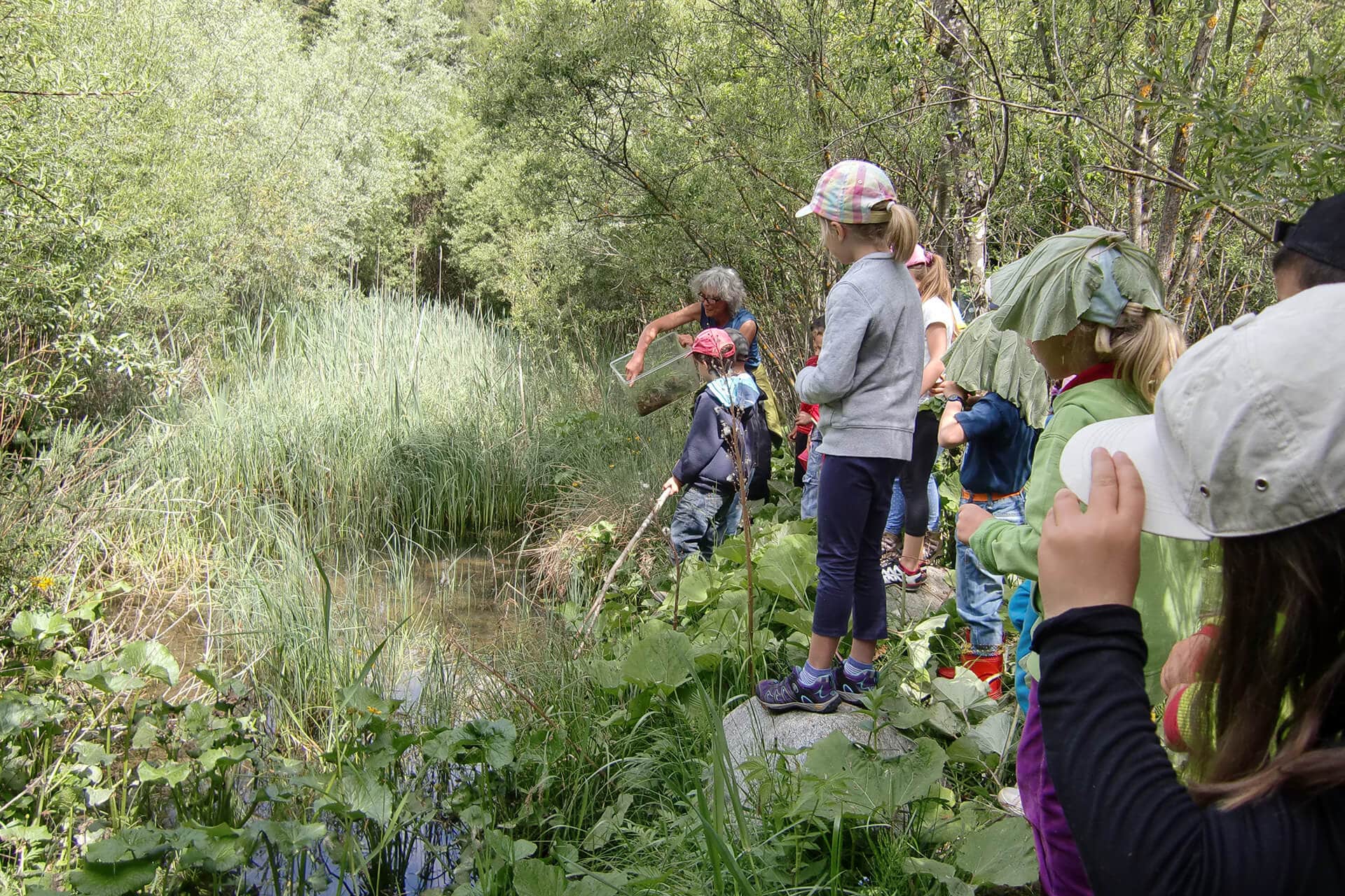 Titelbild Lernraum Natur mit Kindern